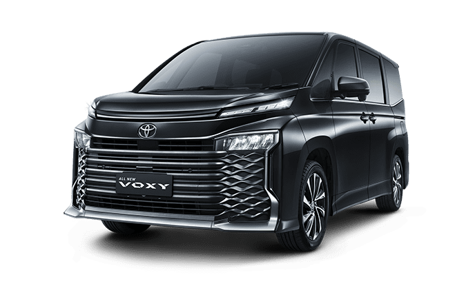 voxy Glitter Black
